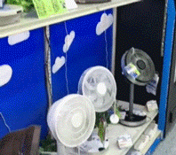 姚明退役-乐鱼app(leyu)官方网站-乐鱼官网