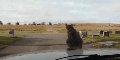 中央电视节目预告-乐鱼app(leyu)官方网站-乐鱼官网