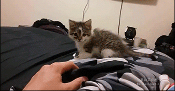 中国女足vs韩国-乐鱼app(leyu)官方网站-乐鱼官网