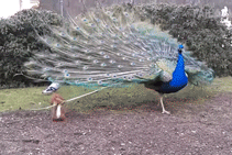 乌尼思-乐鱼app(leyu)官方网站-乐鱼官网