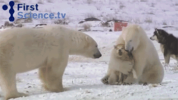 河南电视台新闻频道-乐鱼app(leyu)官方网站-乐鱼官网