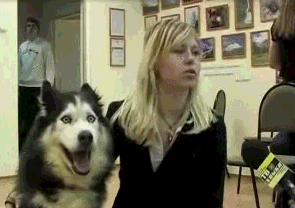 广州未赢够-乐鱼app(leyu)官方网站-乐鱼官网