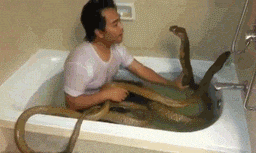 阿奎罗-乐鱼app(leyu)官方网站-乐鱼官网