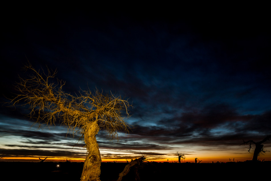 世界杯决赛预测