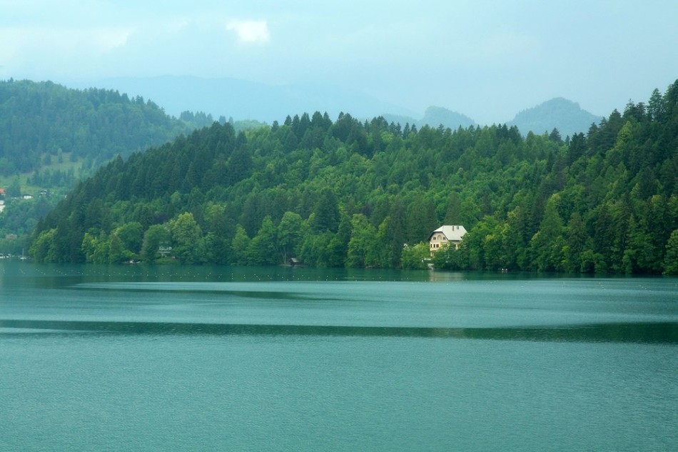 纽约尼克斯vs热火-乐鱼体育(LEYU)中国官网-app登录入口