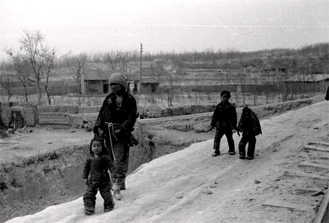 1942年郑州人口_郑州人口年龄结构