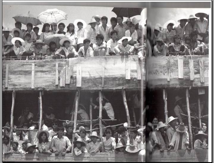 三亚1990年人口_三亚人口分布图(2)
