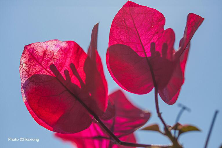 阿根廷国家队球衣-爱游戏(ayx)官网网站_ayx.com