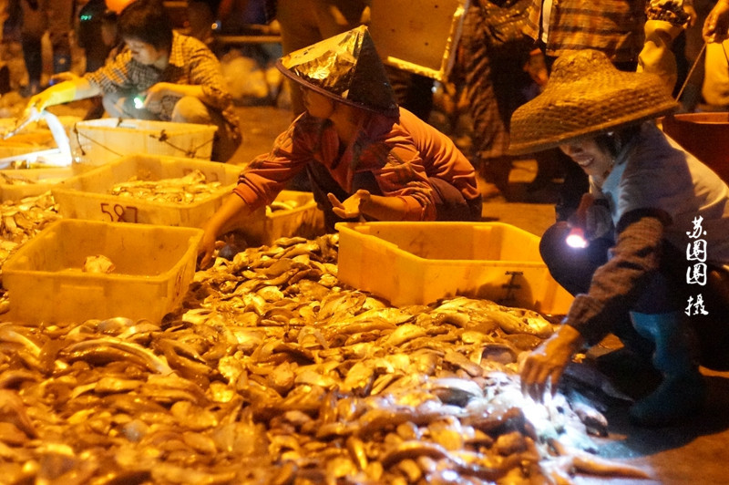 儒尼尼奥s任意球-万博·体育(ManBetX)官方网站_ManBetx