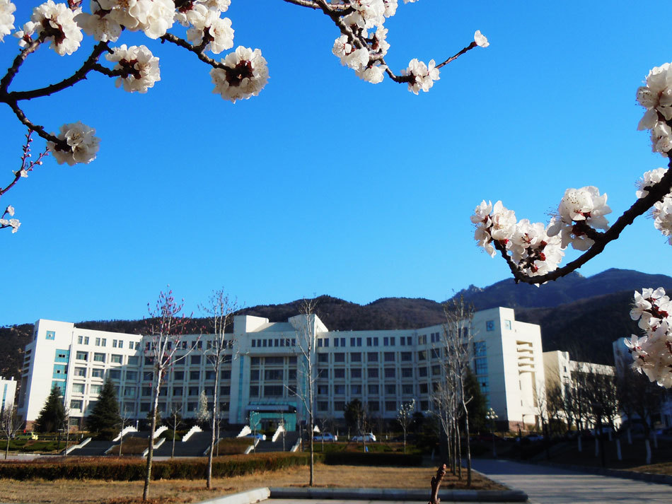 山东泰山学院
