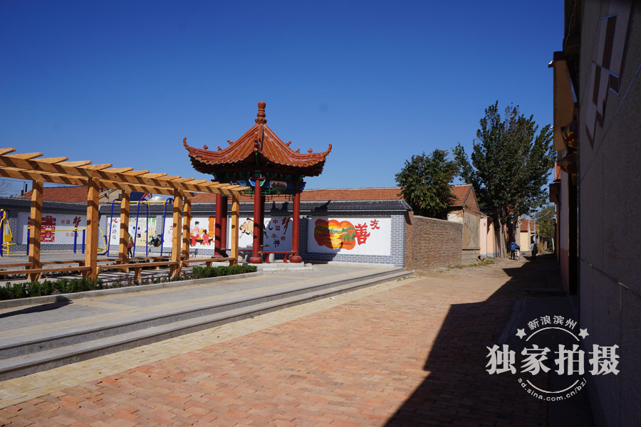 无棣信阳镇有多少人口_信阳毛尖图片