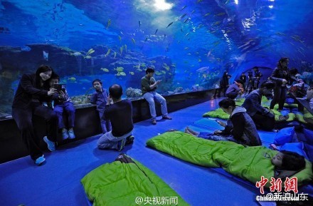 烟台海洋人口_烟台海昌鲸鲨馆\