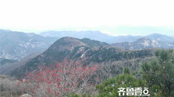 泰安市人口介绍_泰安市地图