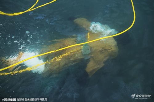 渔业人口_人口普查图片