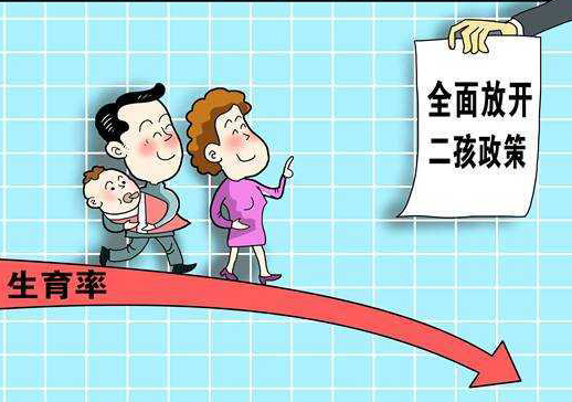 二胎人口政策_两会 人口老龄化突出 二胎政策有望五年后放开(3)