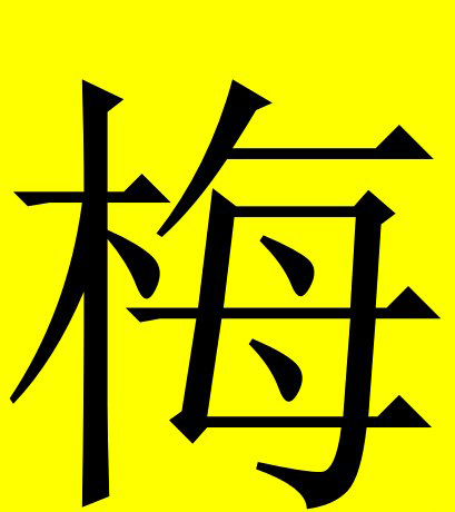 52240_626208_396580.jpg