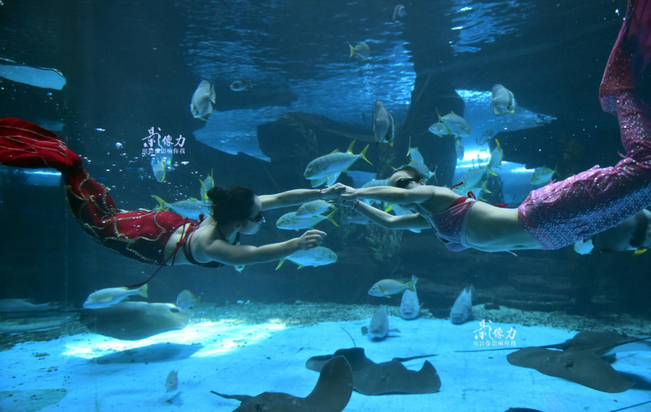 如何成为美人鱼 52240_686473_178365.jpg