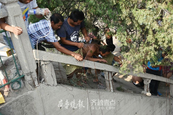 德州有多少人口_中国人亲历 德州人多剽悍 交警比特警牛(3)