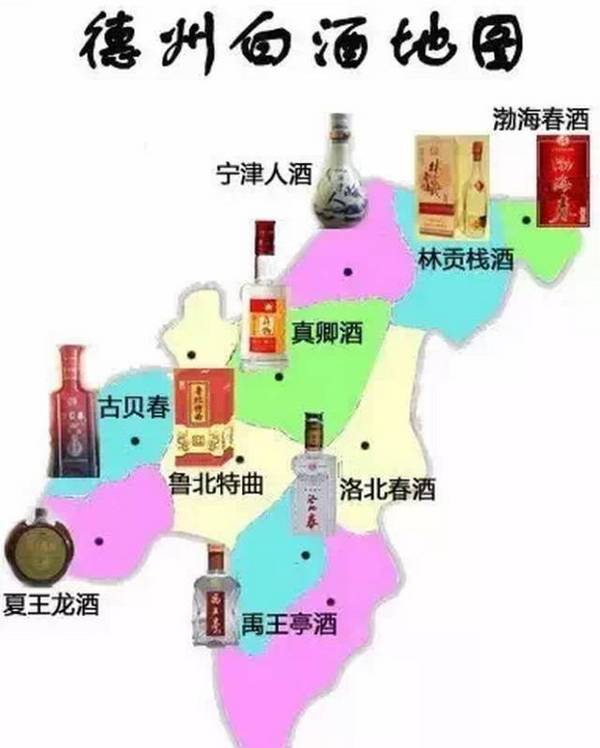 山东人口数量排名_...年北京、河北、山东、河南高考报名人数对比图-2016中国(3)