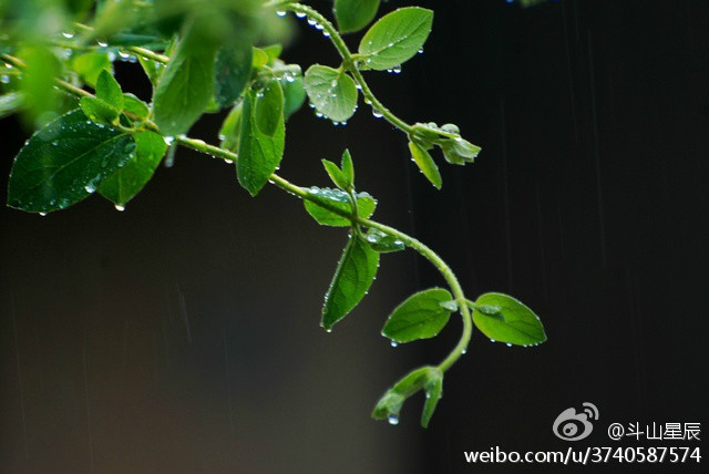 青翠什么滴成语_成语故事图片(2)