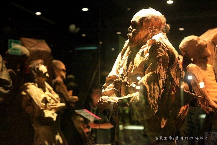 世界最恐怖的_图揭世界上最恐怖的人尸博物馆