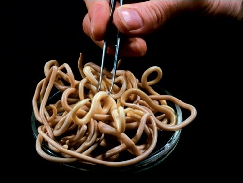 蒜头怎么保存不会生虫 453_12734_890026.jpg