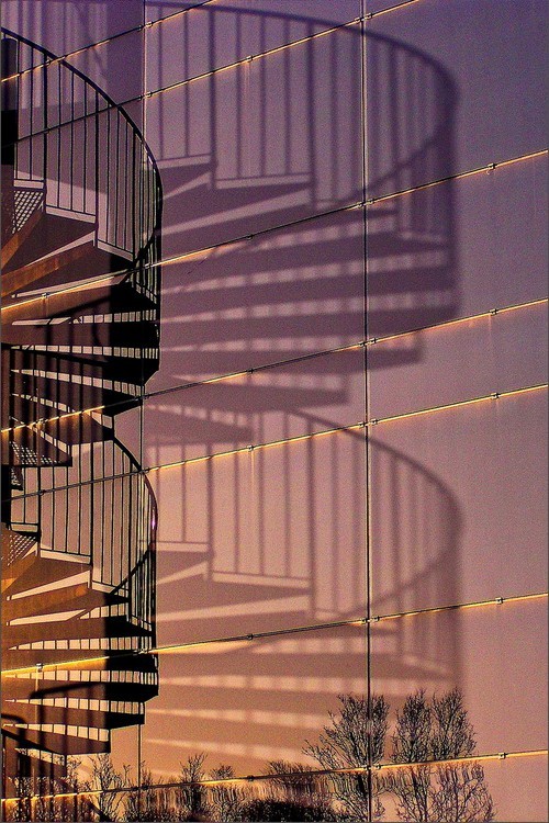 30939_619561_664010.jpg