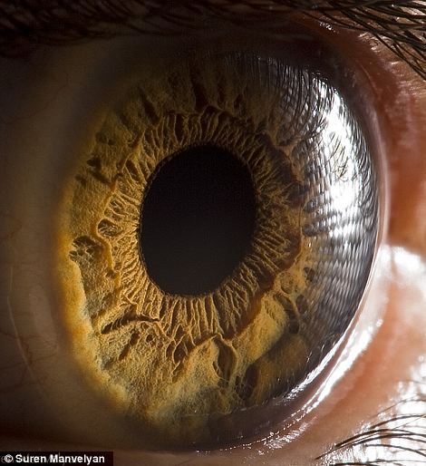 微距拍人眼虹膜细节:名字源自希腊彩虹女神-突