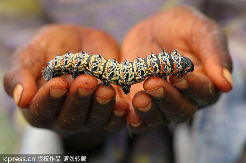 津巴布韦人口_艾滋病的高流行地区是什么 加勒比海地区 南非和津巴布韦 中东(3)
