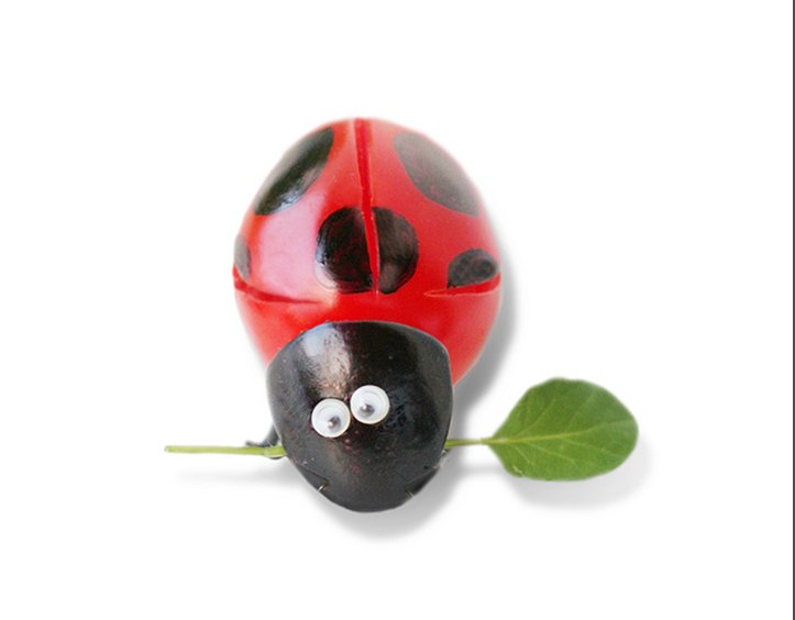 苍蝇瓢虫猜成语_七星瓢虫简笔画(3)