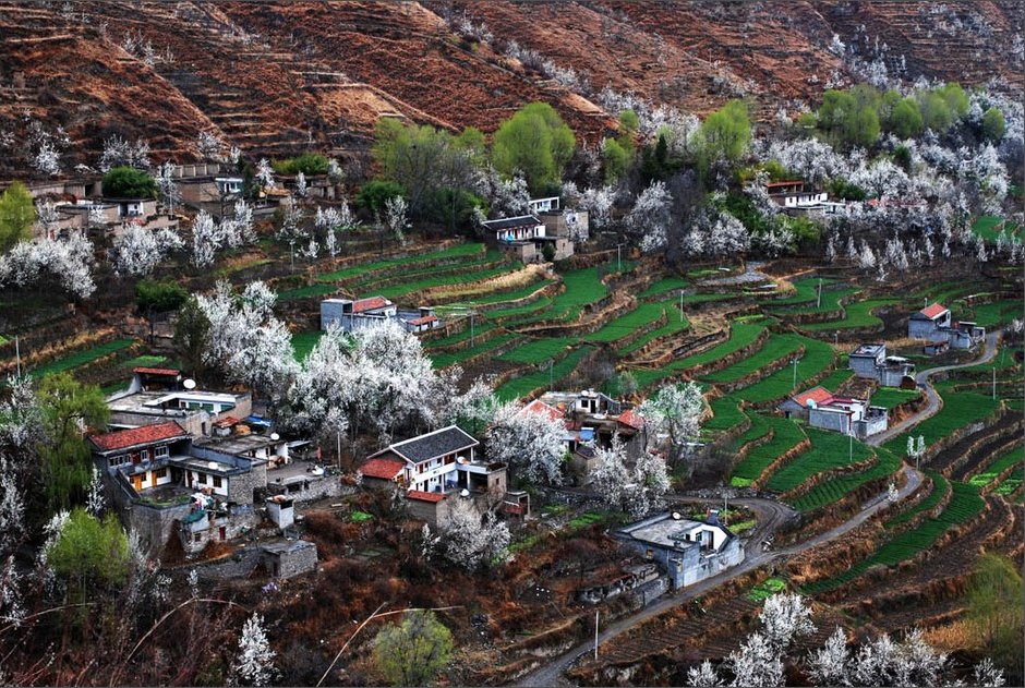 阿坝县人口_阿坝县格尔登寺图片