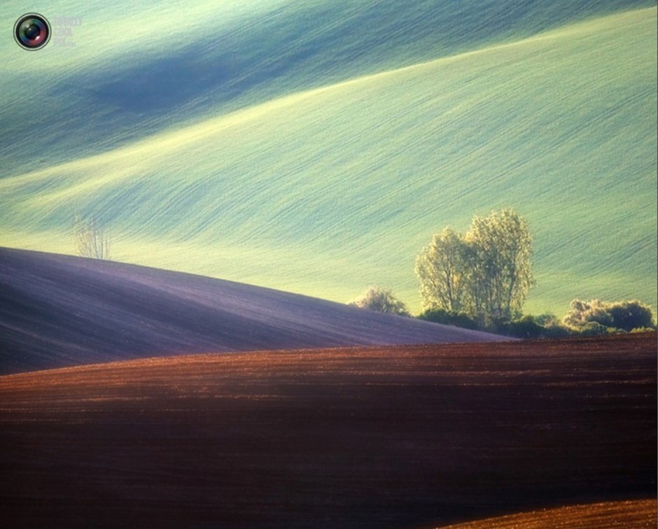 治愈心灵的风景 30939_671791_713659.jpg