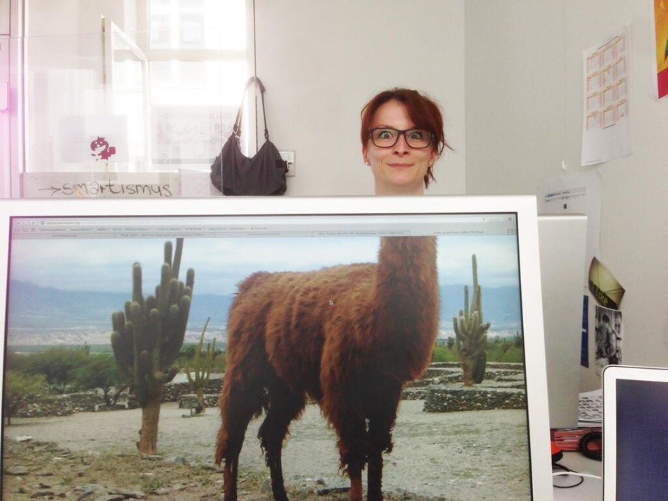 搞笑人像摄影 把办公室变成动物园