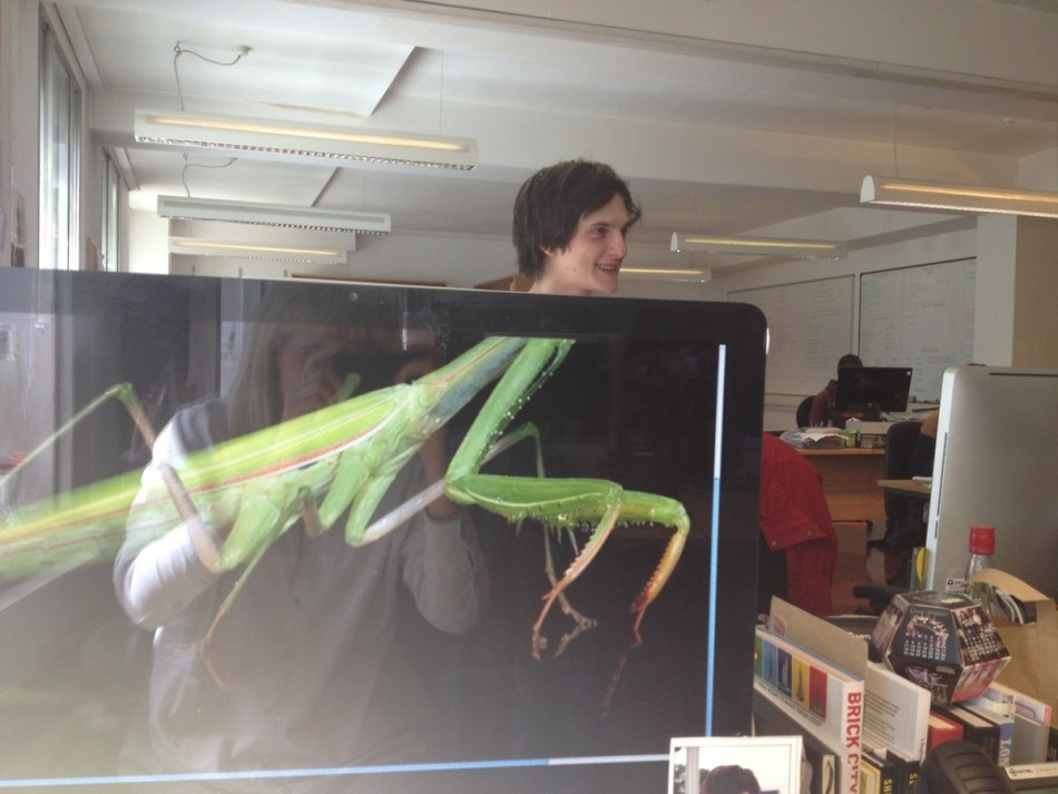 搞笑人像摄影 把办公室变成动物园