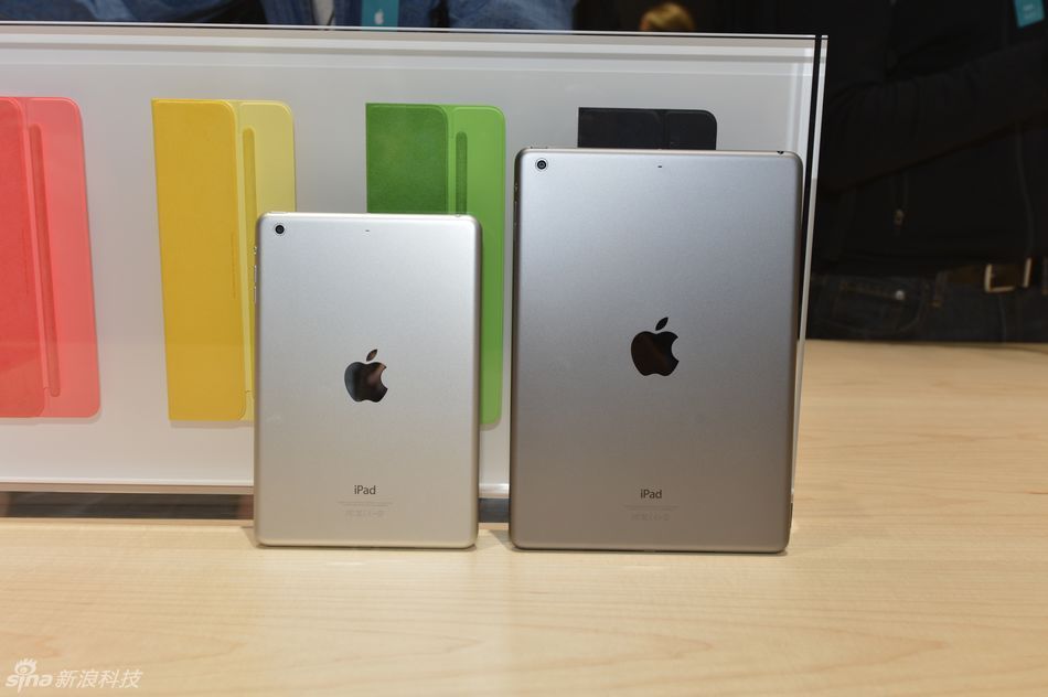 50989_824158_563255.jpg