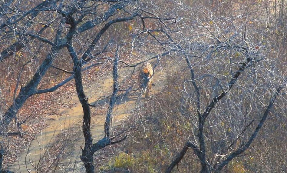 恒大vs伊蒂哈德-乐鱼app(leyu)官方网站-乐鱼官网