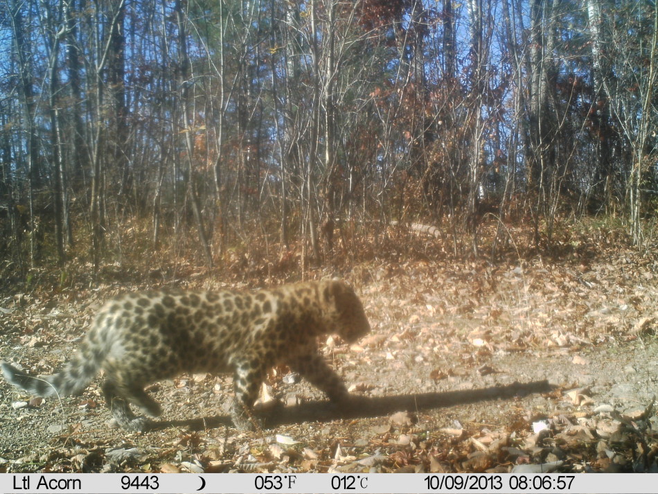 指宿洋史-乐鱼app(leyu)官方网站-乐鱼官网