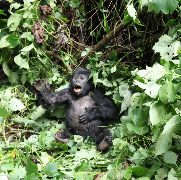 斯诺克中国公开赛直播-乐鱼app(leyu)官方网站-乐鱼官网