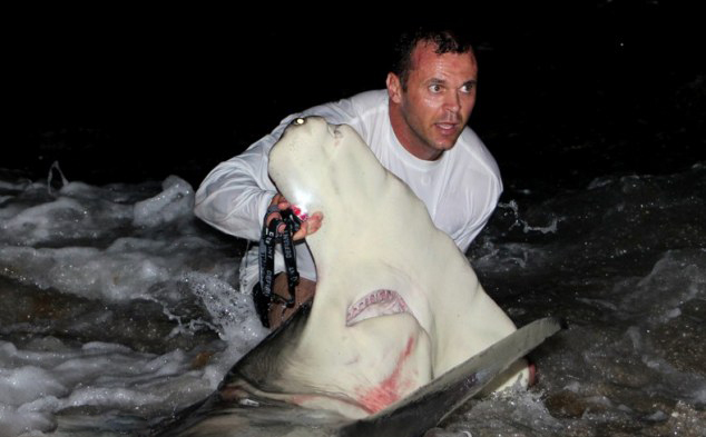 全英赛直播-乐鱼app(leyu)官方网站-乐鱼官网