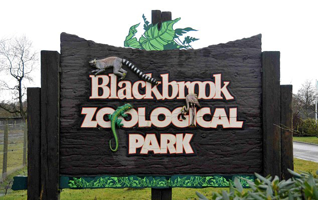 伊涅斯塔绝杀-乐鱼app(leyu)官方网站-乐鱼官网