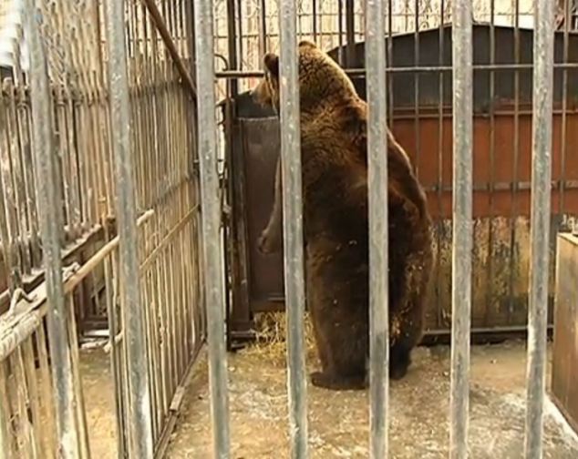 里约-乐鱼app(leyu)官方网站-乐鱼官网