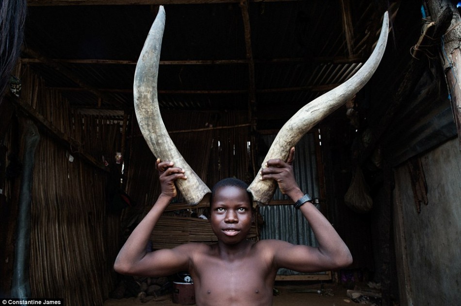 一站到底 王晨-乐鱼app(leyu)官方网站-乐鱼官网