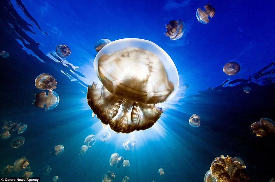 联盟杯决赛-乐鱼app(leyu)官方网站-乐鱼官网