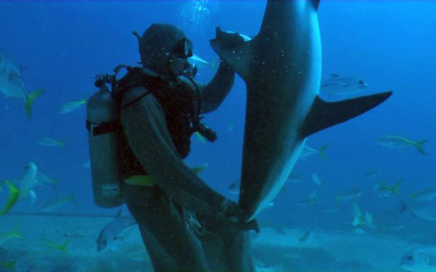 河南电视台法制频道-乐鱼app(leyu)官方网站-乐鱼官网