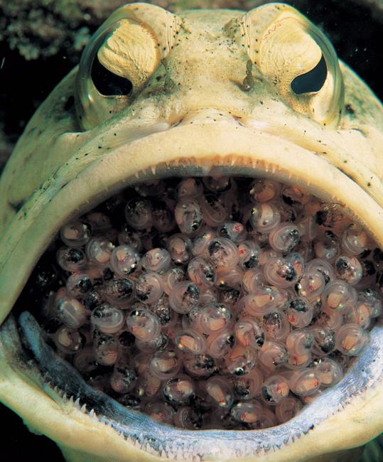 科斯塔库塔-乐鱼app(leyu)官方网站-乐鱼官网