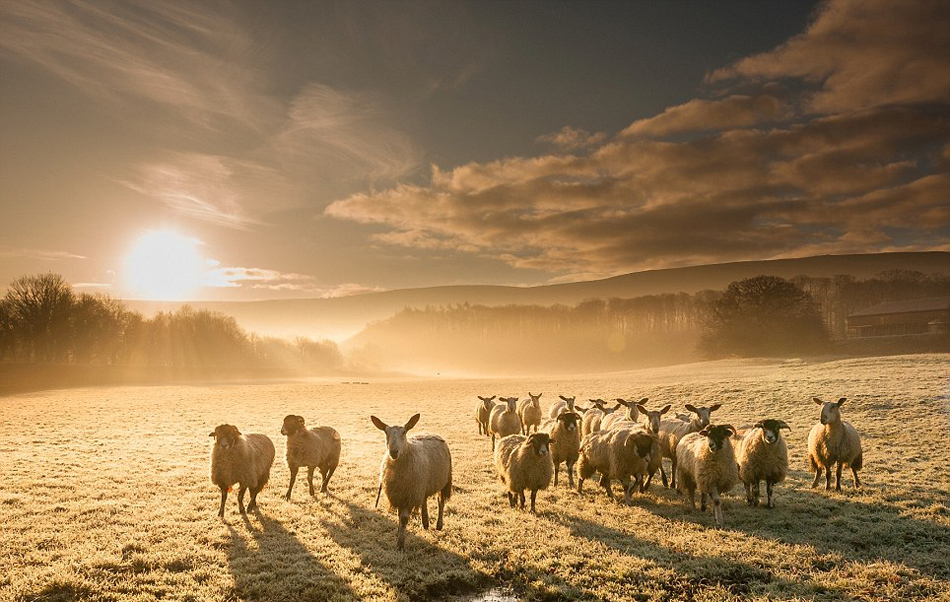 nba选秀直播-乐鱼app(leyu)官方网站-乐鱼官网