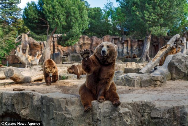 广州恒大vs汉堡-乐鱼app(leyu)官方网站-乐鱼官网