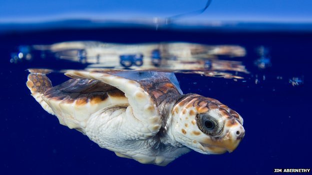 天下足球108将-乐鱼app(leyu)官方网站-乐鱼官网