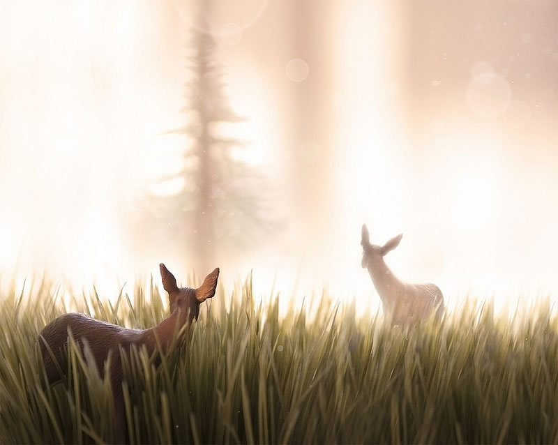 2012切尔西阵容-乐鱼app(leyu)官方网站-乐鱼官网