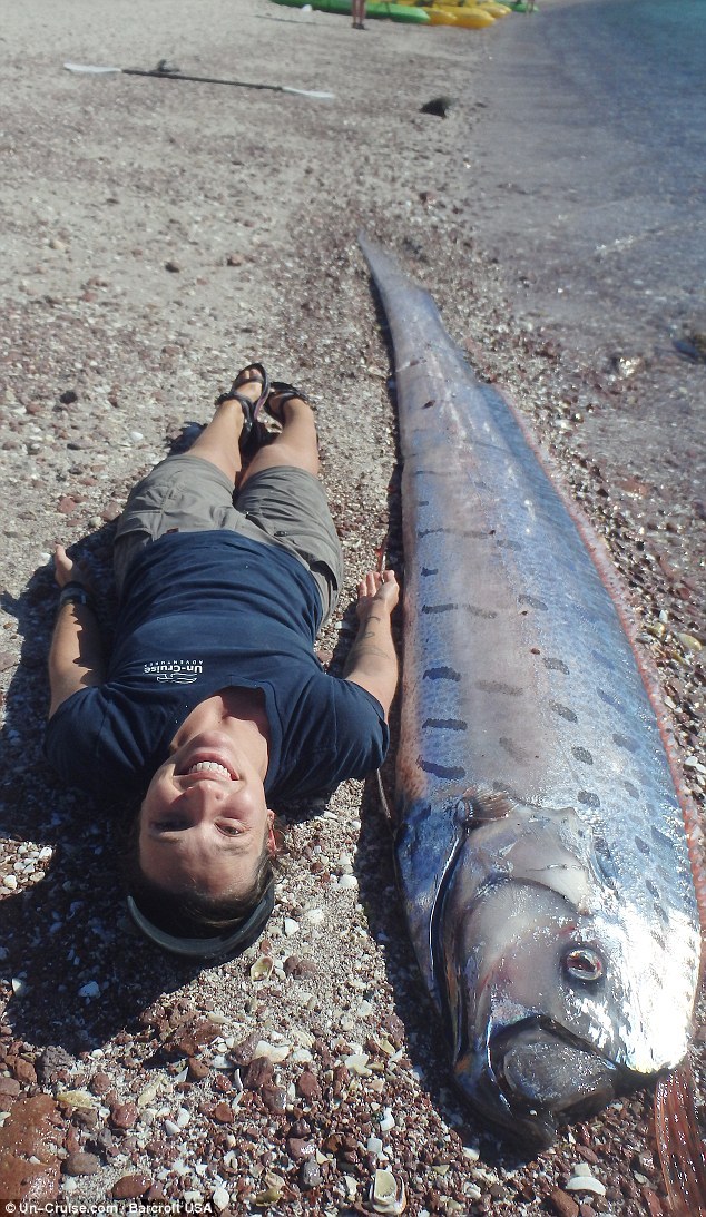 霍奇森-乐鱼app(leyu)官方网站-乐鱼官网